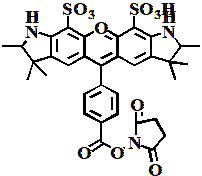 AF532 琥珀酰亚胺酯